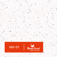 MS-01