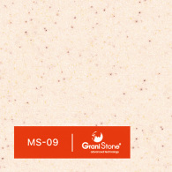 MS-09