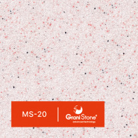 MS-20