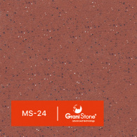 MS-24