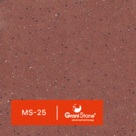 MS-25