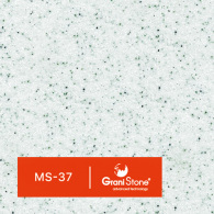 MS-37