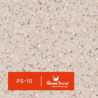 PS-10