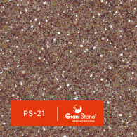 PS-21