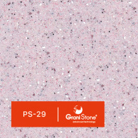 PS-29