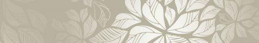 skinali-6544
