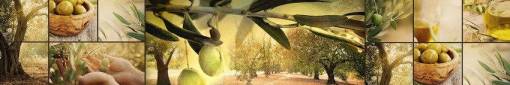 skinali-3669