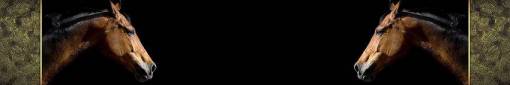 skinali-2625