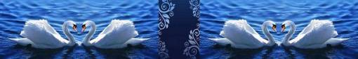 skinali-2785